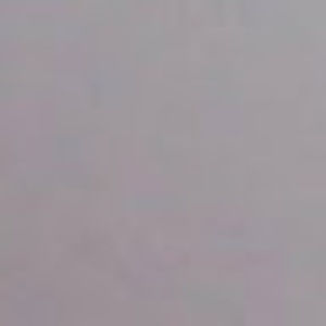 Meet your Posher, Isabella